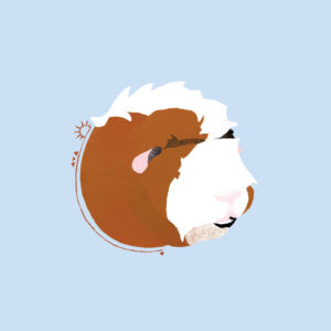 Petit portait animalier - 2022