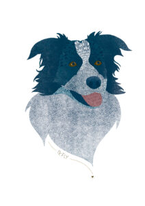 Portrait animalier - 2022