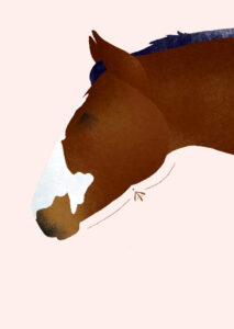 Petit portrait animalier - 2021